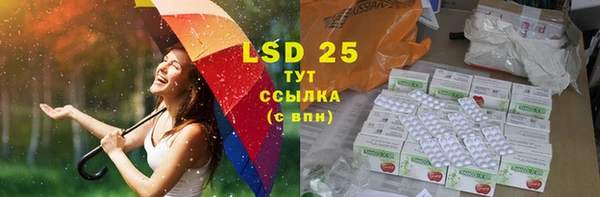 ПСИЛОЦИБИНОВЫЕ ГРИБЫ Абдулино