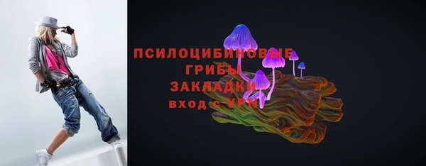 Альфа ПВП Абаза